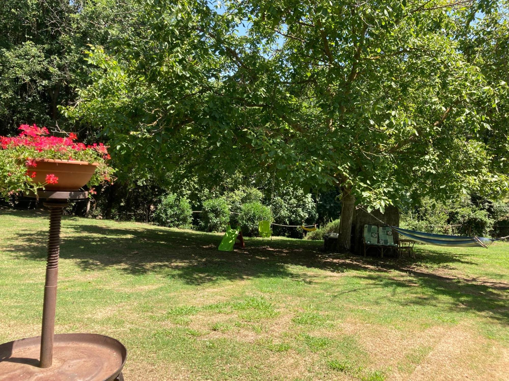 Agriturismo Le Colline Montescudaio Exterior photo